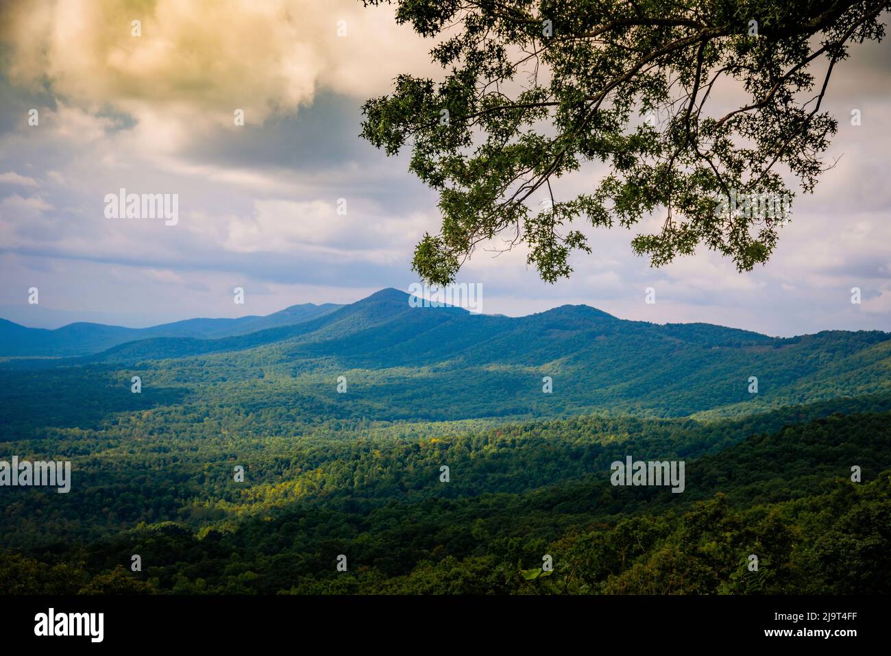 Vue depuis Blue Ridge Parkway, Smoky Mountains, États-Unis. Banque D'Images