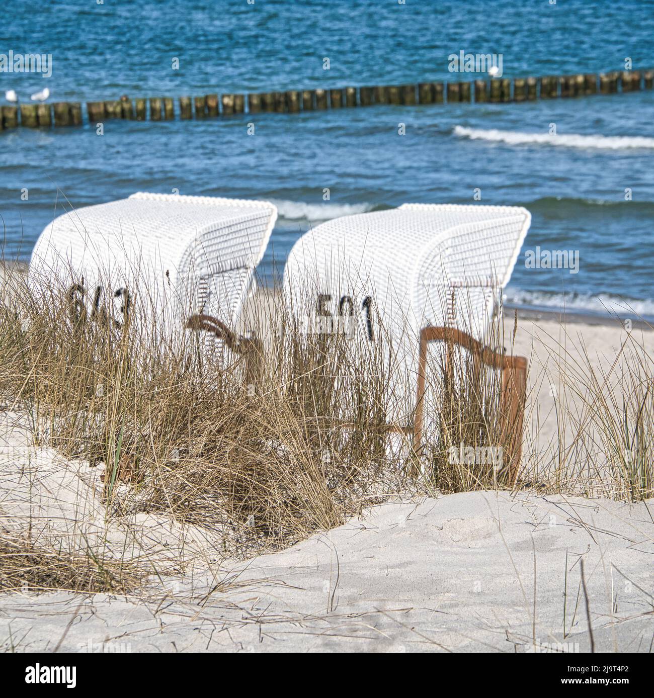 Chaise de plage sur la plage de la mer Baltique à Zingst. Soleil, ciel bleu et loisirs au bord de la mer. Sable et vagues dans la nature. Photo de paysage de l'Allemagne Banque D'Images