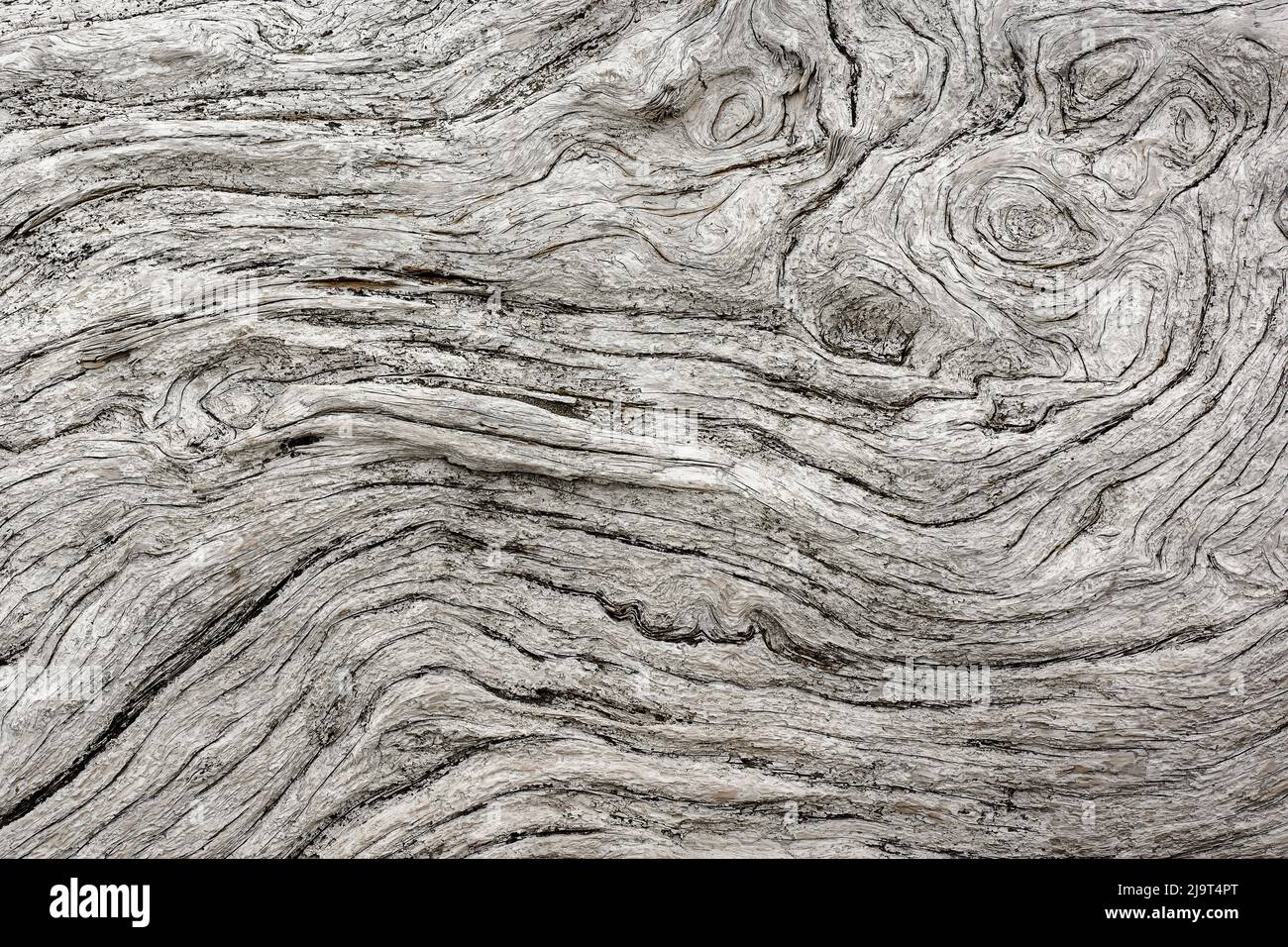 Motif géométrique dans le bois de grève érodé, Bandon Beach, Oregon Banque D'Images