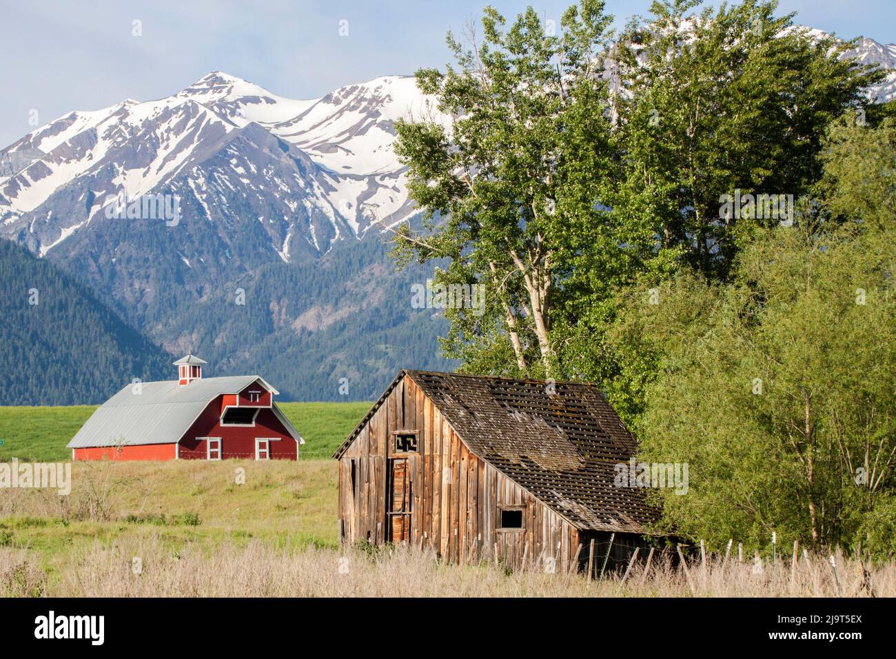 États-Unis, Oregon, Joseph. Grange en bois rouge avec ancien hangar en bois dans le champ avec les montagnes Wallowa au loin. Banque D'Images