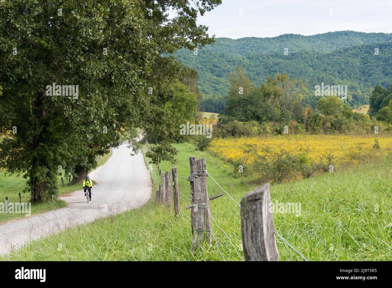 États-Unis, Tennessee. Parc national des Great Smoky Mountains. Biker sur Hyatt Lane, Cades Cove, parc national des Great Smoky Mountains (MR) Banque D'Images