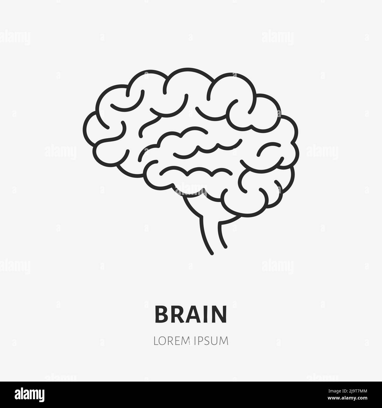 Icône de la ligne d'oeddle Brain. Illustration vectorielle fine de l'organe interne humain. Signe linéaire de couleur noire pour le système neurologique Illustration de Vecteur