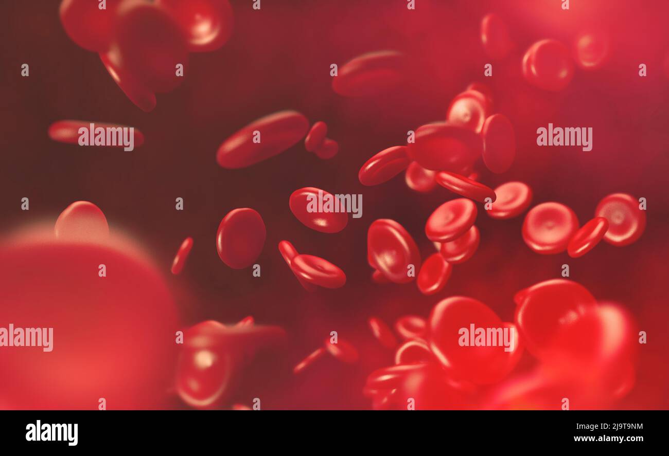 Cellules sanguines. Illustration de la circulation sanguine des érythrocytes 3D Banque D'Images