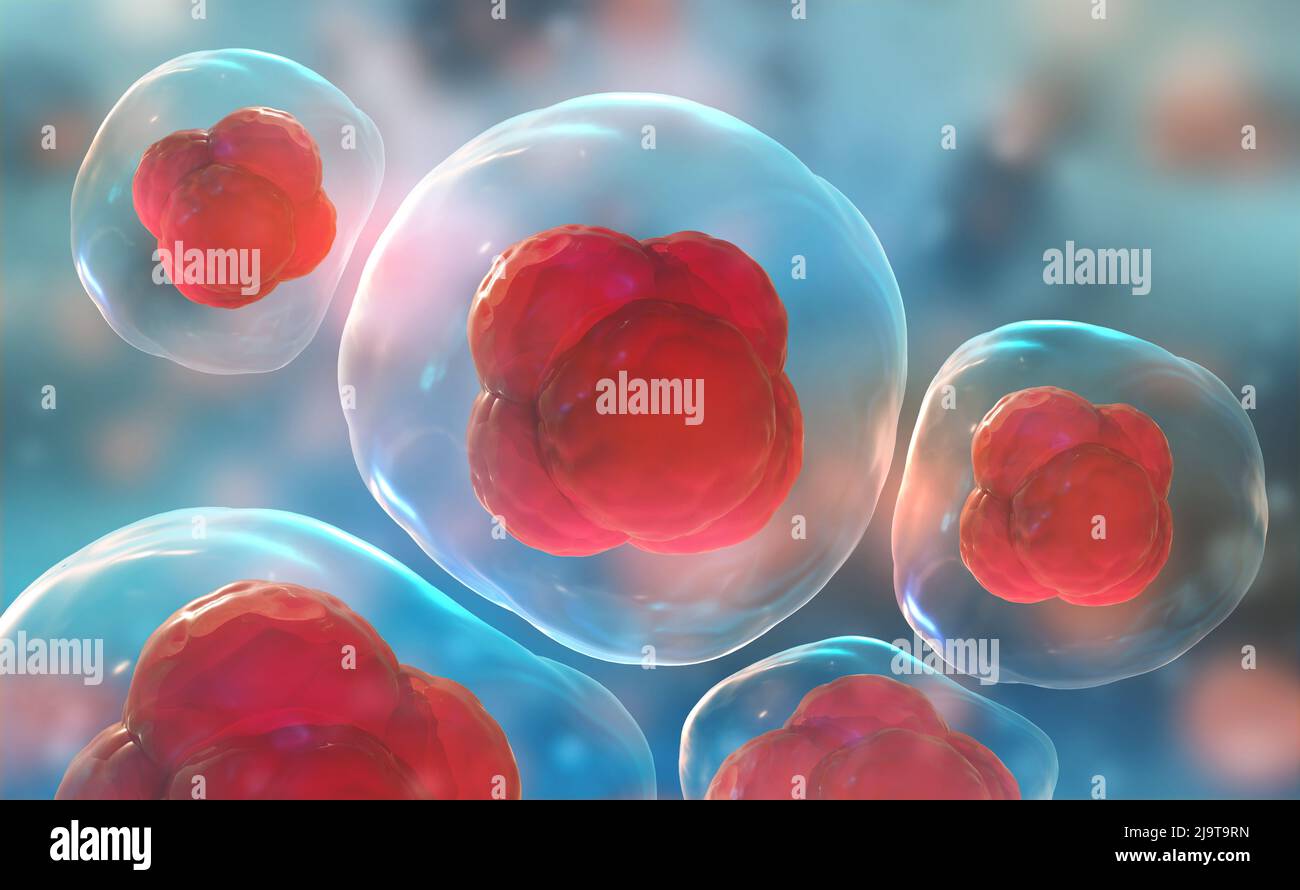 Cellules sous microscope. Recherche de cellules souches. Thérapie cellulaire. Division cellulaire. 3d illustration sur fond clair Banque D'Images
