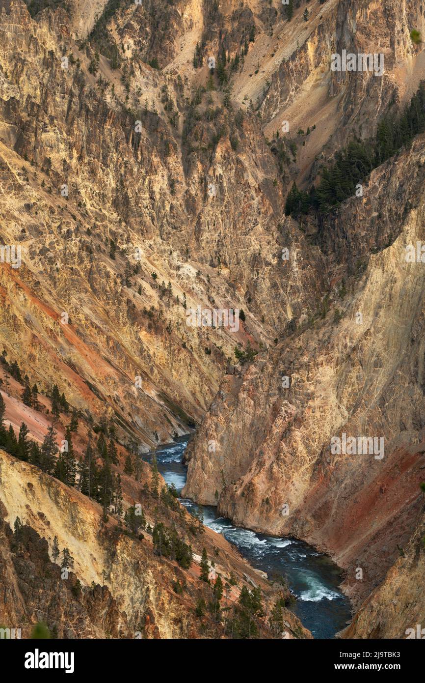 Rivière Yellowstone traversant des falaises de Rhyolite colorées, Grand Canyon de Yellowstone, parc national de Yellowstone. Banque D'Images