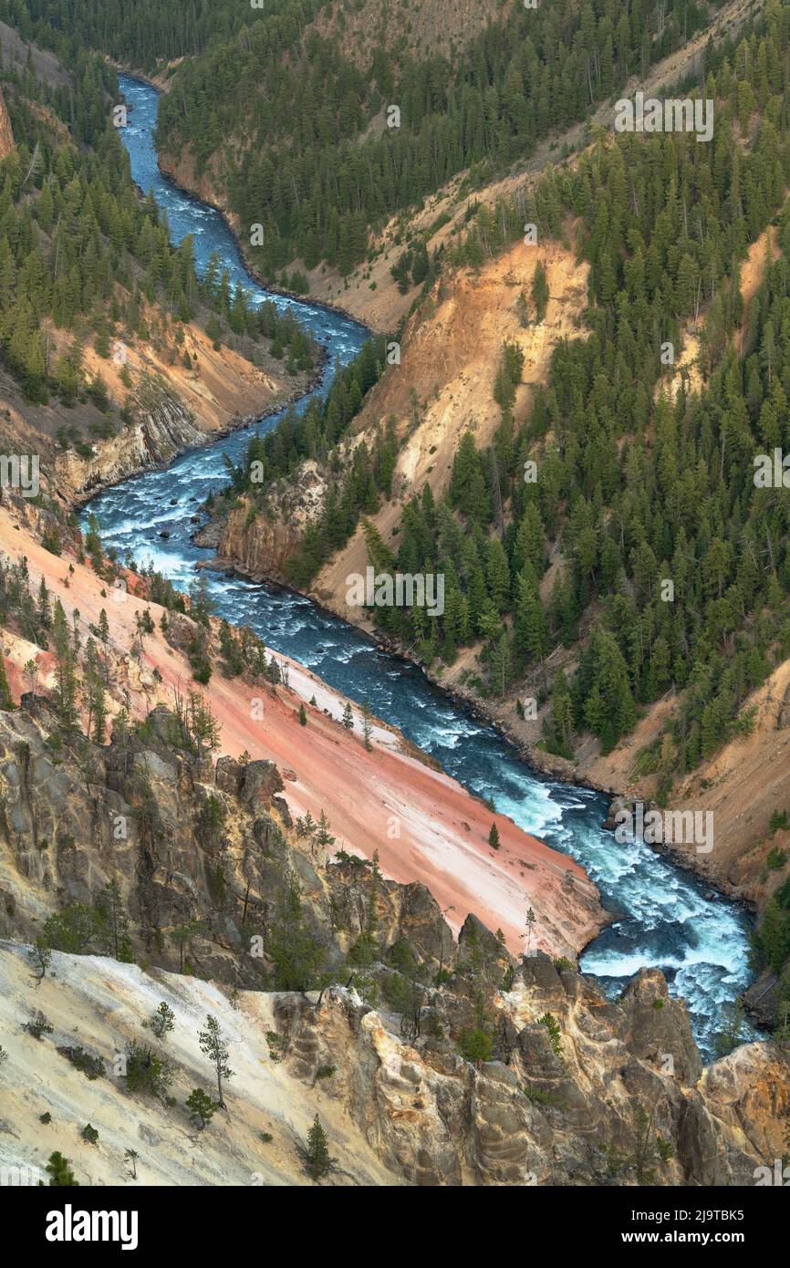 Rivière Yellowstone traversant des falaises de Rhyolite colorées, Grand Canyon de Yellowstone, parc national de Yellowstone. Banque D'Images