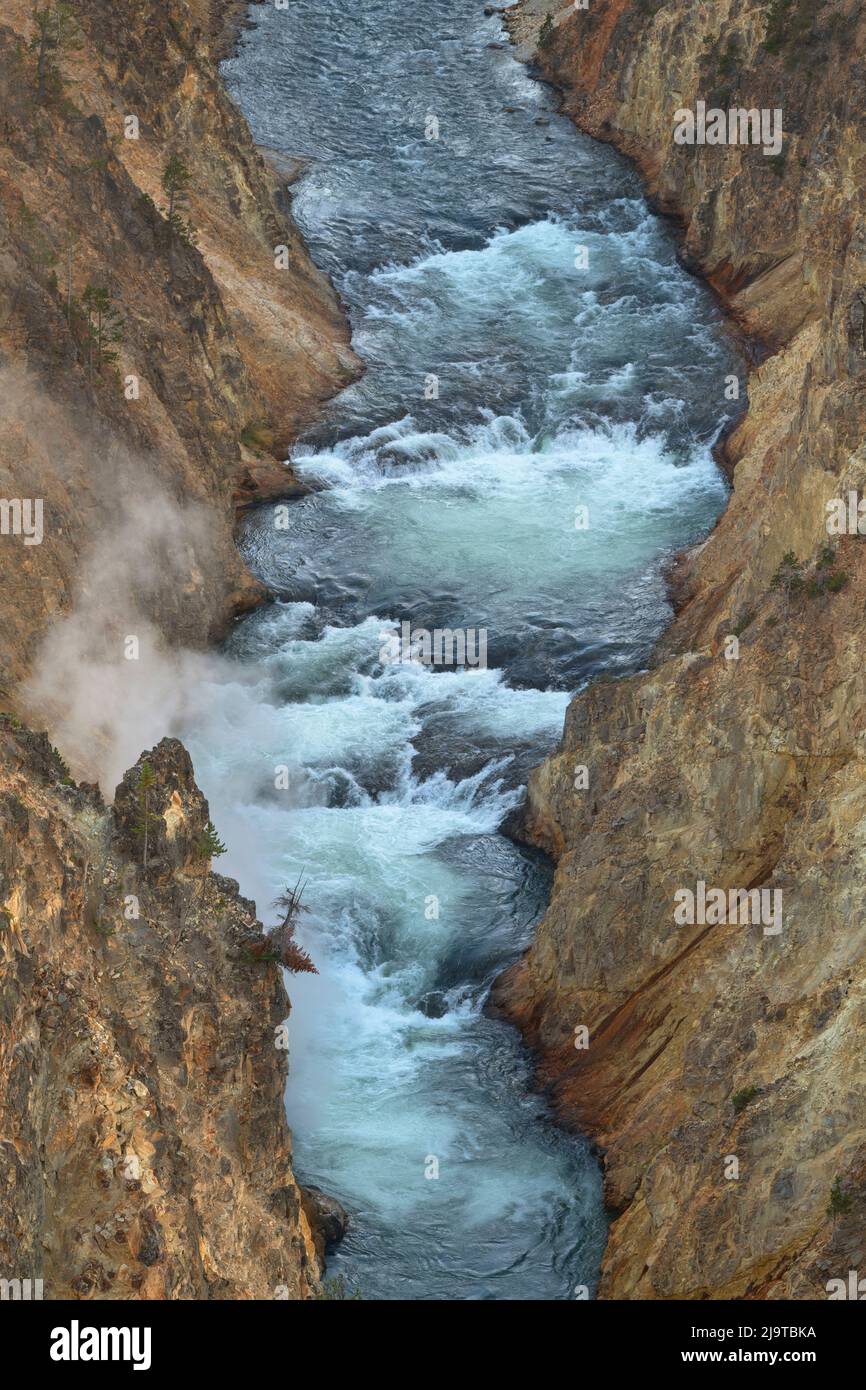 Rivière Yellowstone traversant des falaises de Rhyolite colorées, Grand Canyon de Yellowstone, parc national de Yellowstone. Banque D'Images