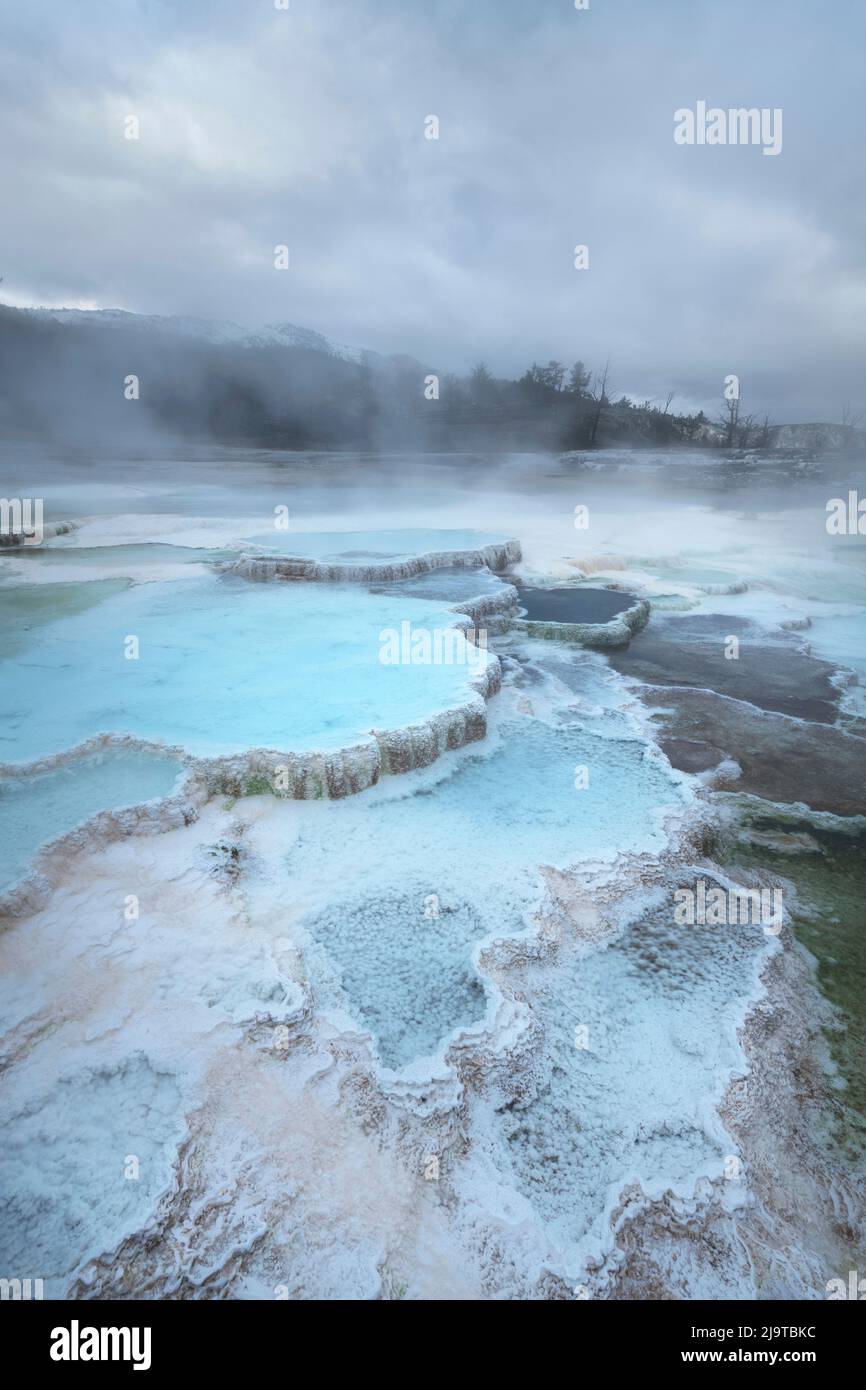 Dépôts de travertin colorés par des bactéries thermophiles, terrasses du haut Mammoth Hot Springs, parc national de Yellowstone. Banque D'Images
