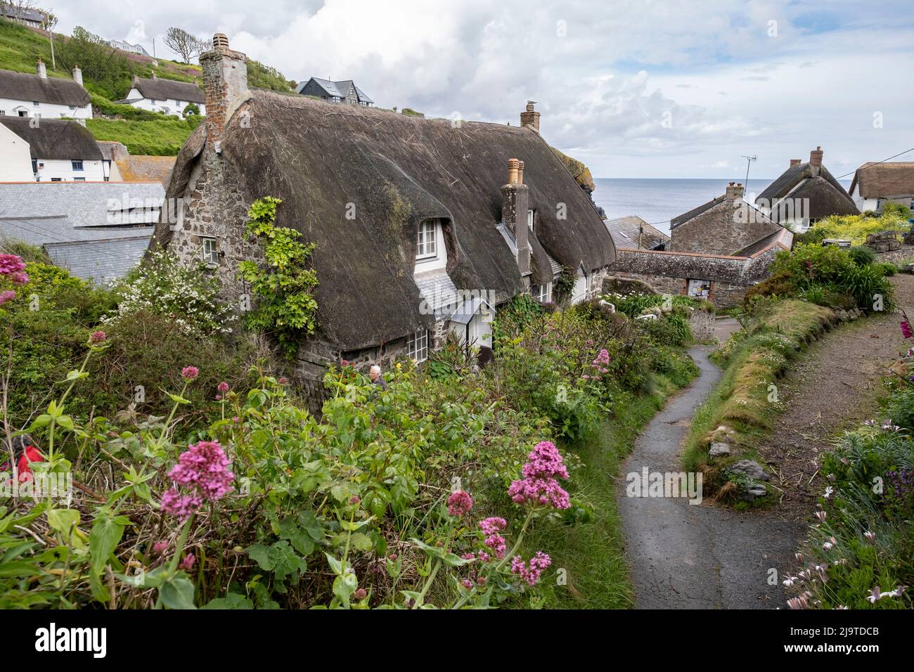 Vue sur le magnifique village de bord de mer de Cadgwith, Cornouailles, Angleterre. Banque D'Images