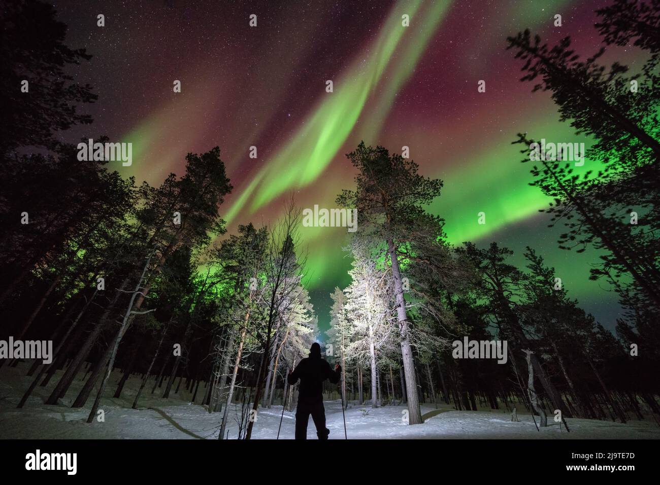 Ski sous les aurores boréales dans le parc national de Lemmenjoki, Inari, Laponie, Finlande Banque D'Images