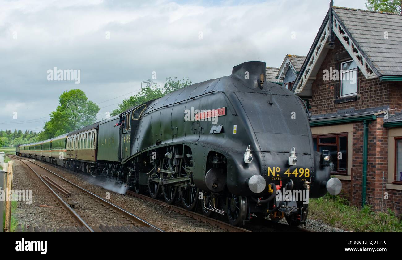 Sir Nigel Gresley Locomotive train passant près de Shrewsbury Shropshire après une importante restauration. Banque D'Images