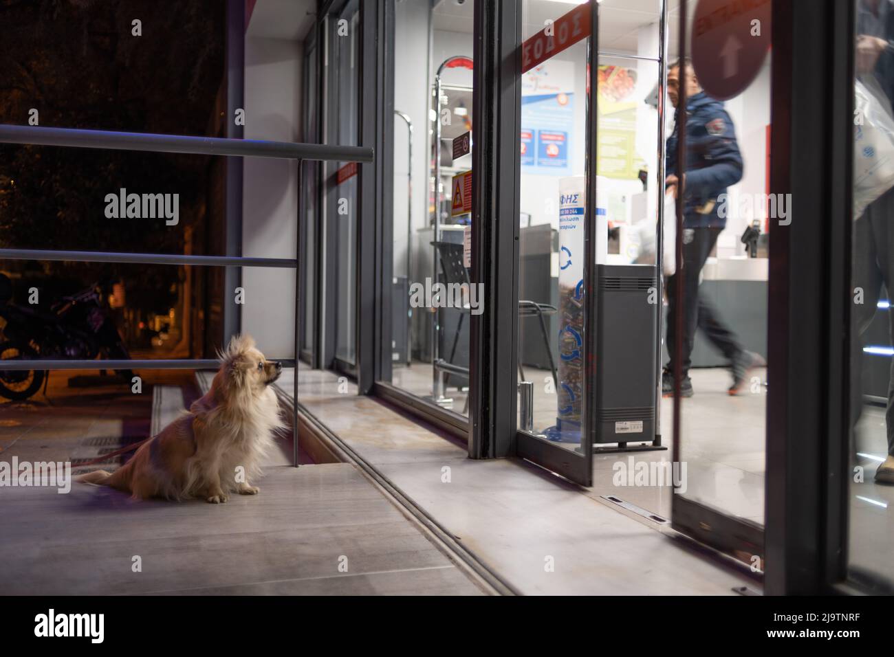 Un chien attend à l'extérieur d'un magasin pour son maître Banque D'Images