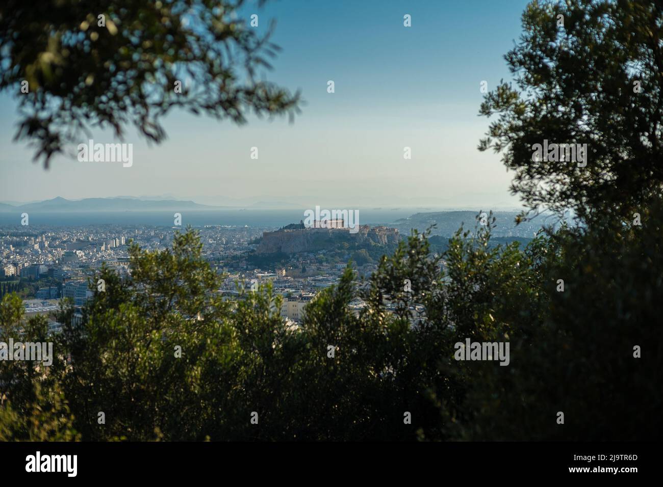 Vue sur le Parthénon à travers les arbres depuis la colline de Lycabette, Athènes Banque D'Images