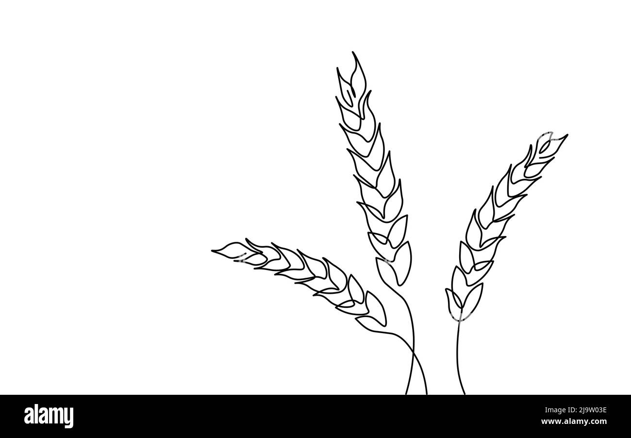 Grain de blé unique continu une ligne art. concept international de production de céréales vivrières. Dessin de dessin de contour dessin illustration de vecteur Illustration de Vecteur