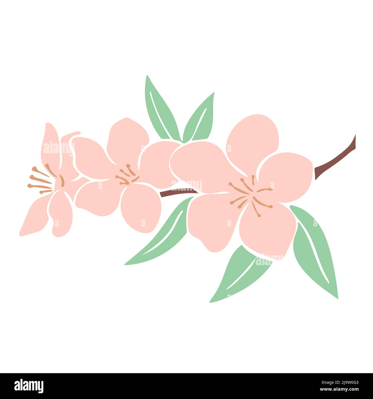 Branche en fleur de pomme ou de cerisier Illustration de Vecteur