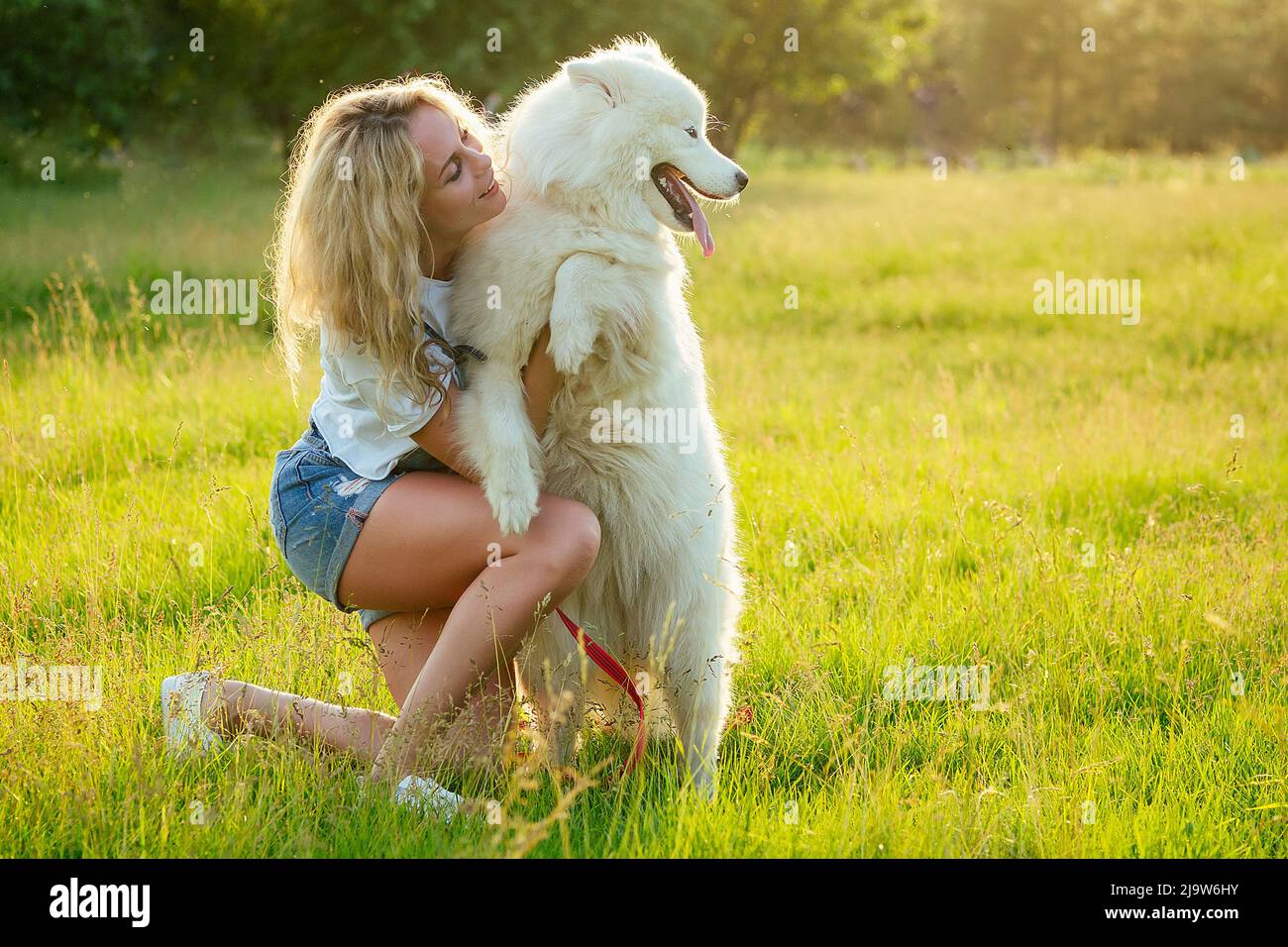 belle et charmante femme tortueuse blonde souriante en combinaison en denim sont assis à un baiser de verre un chien doux blanc de samoyed dans le parc d'été Banque D'Images