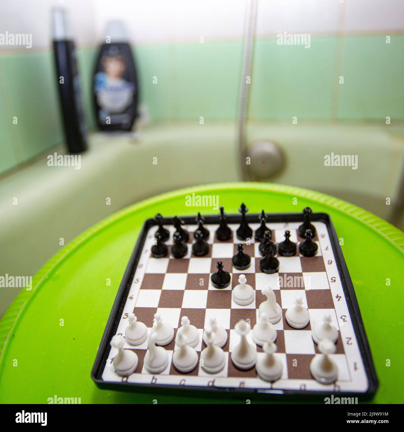 L'amateur d'échecs aime les débuts de Reti dans un bain à remous, mêlant plaisir physique et intellectuel, jeu d'échecs sur un bol en plastique vert retourné Banque D'Images