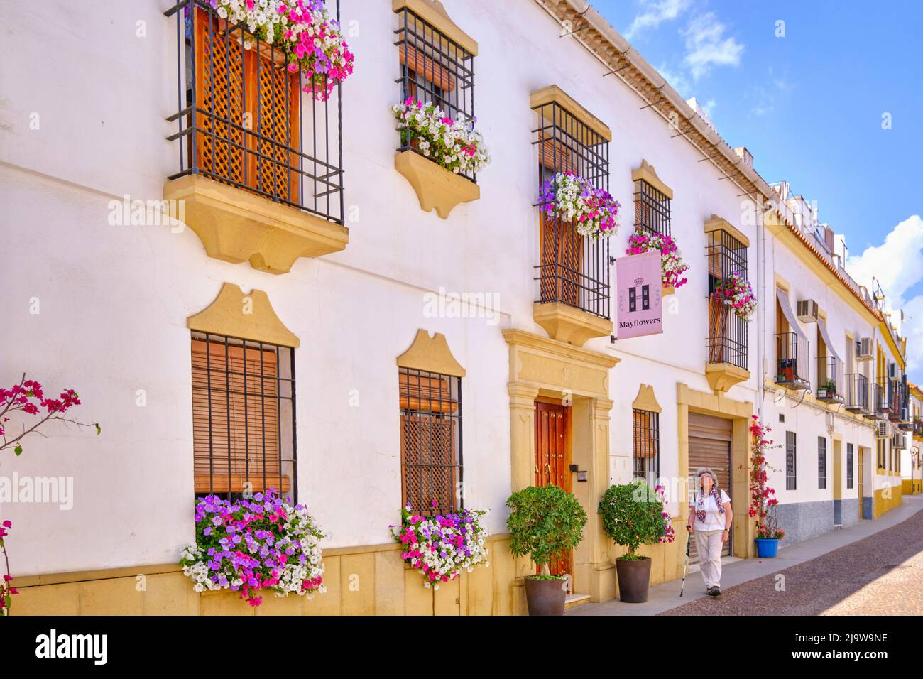 Maison du quartier de San Basilio, pleine de fleurs. Cordoue, Andalousie. Espagne (MR) Banque D'Images