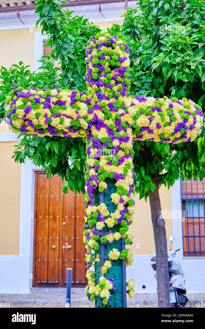 Un quartier populaire avec la Plaza pleine de fleurs pendant le festival des Cruces de Mayo (croix de mai). Cordoue, Andalousie. Espagne Banque D'Images