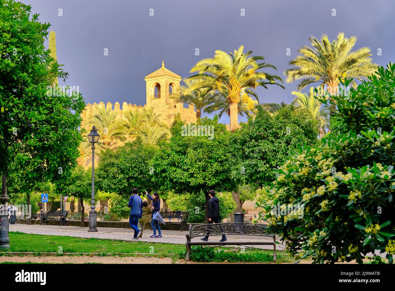 Alcazar de los Reyes Cristianos (Alcazar des Rois chrétiens), Cordoue. Andalousie, Espagne Banque D'Images