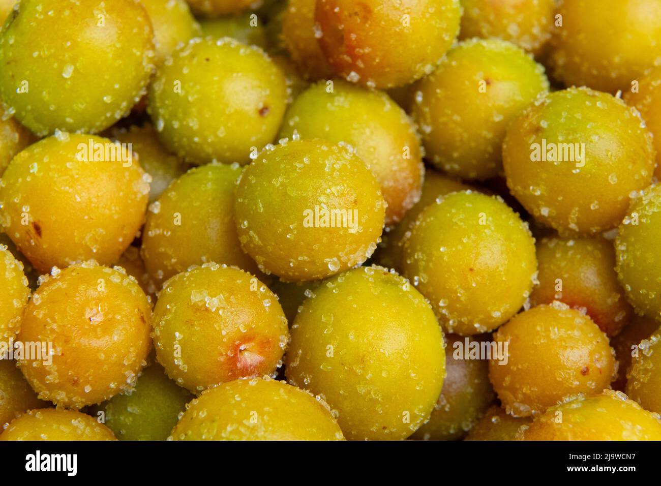 Fruits conservés, séchés, prune salée, sucrée, séchée au soleil et salée, pour les fruits confits. Banque D'Images