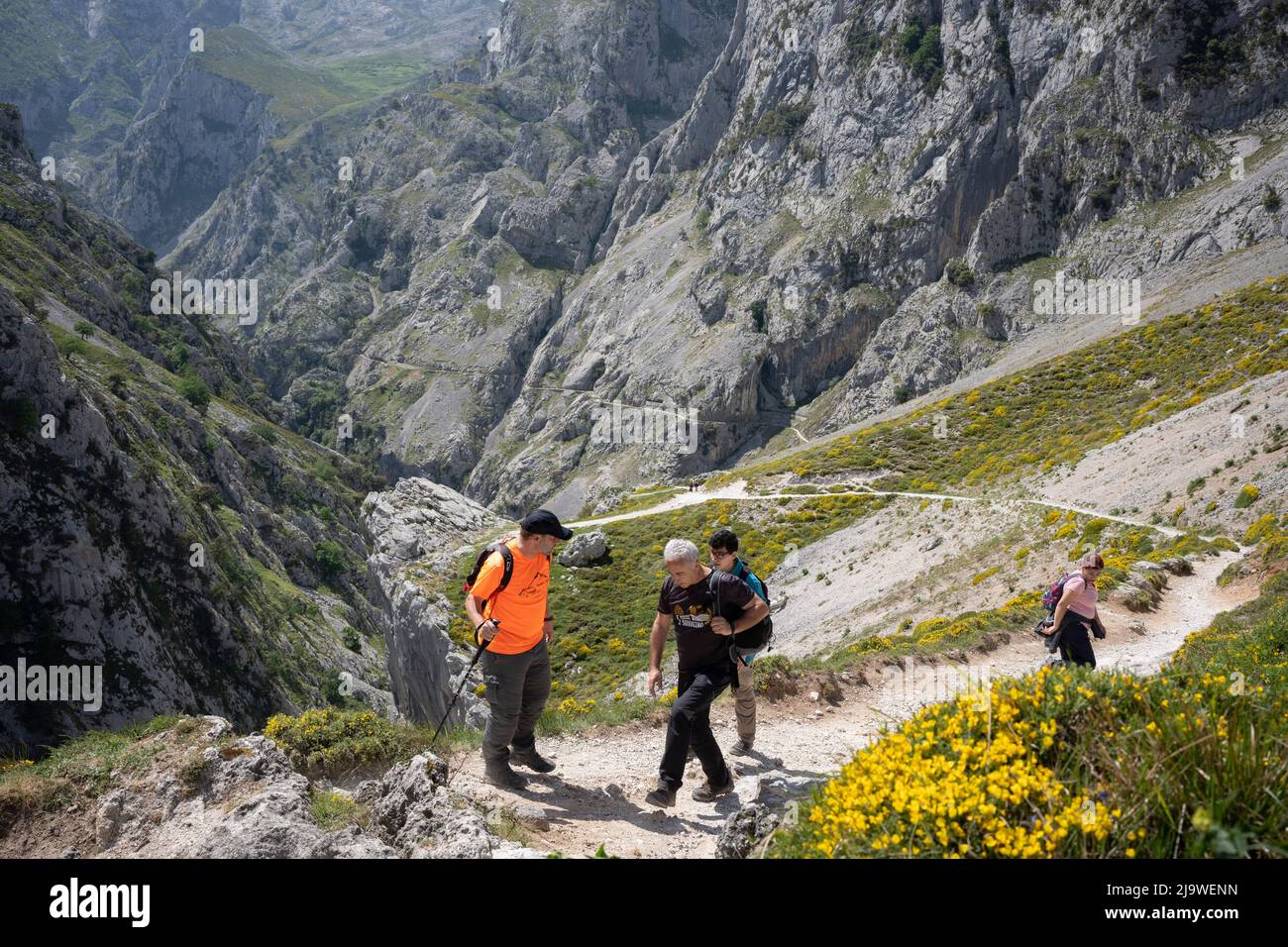 Les marcheurs négocient le chemin rocheux dans la gorge de CARES (Rio CARES), une destination de randonnée espagnole importante pour les visiteurs du parc national de Picos de Europa, le 15th mai 2022, près de Poncebo, Picos Mountains, Asturies, Espagne. Connu sous le nom de « gorge Divine », le sentier de 22km s'étend entre Caín et Poncebos dans les Asturies parmi les montagnes de plus de 2 000 mètres de haut, le long de l'imposant ravin sculpté par la rivière Cares. Banque D'Images