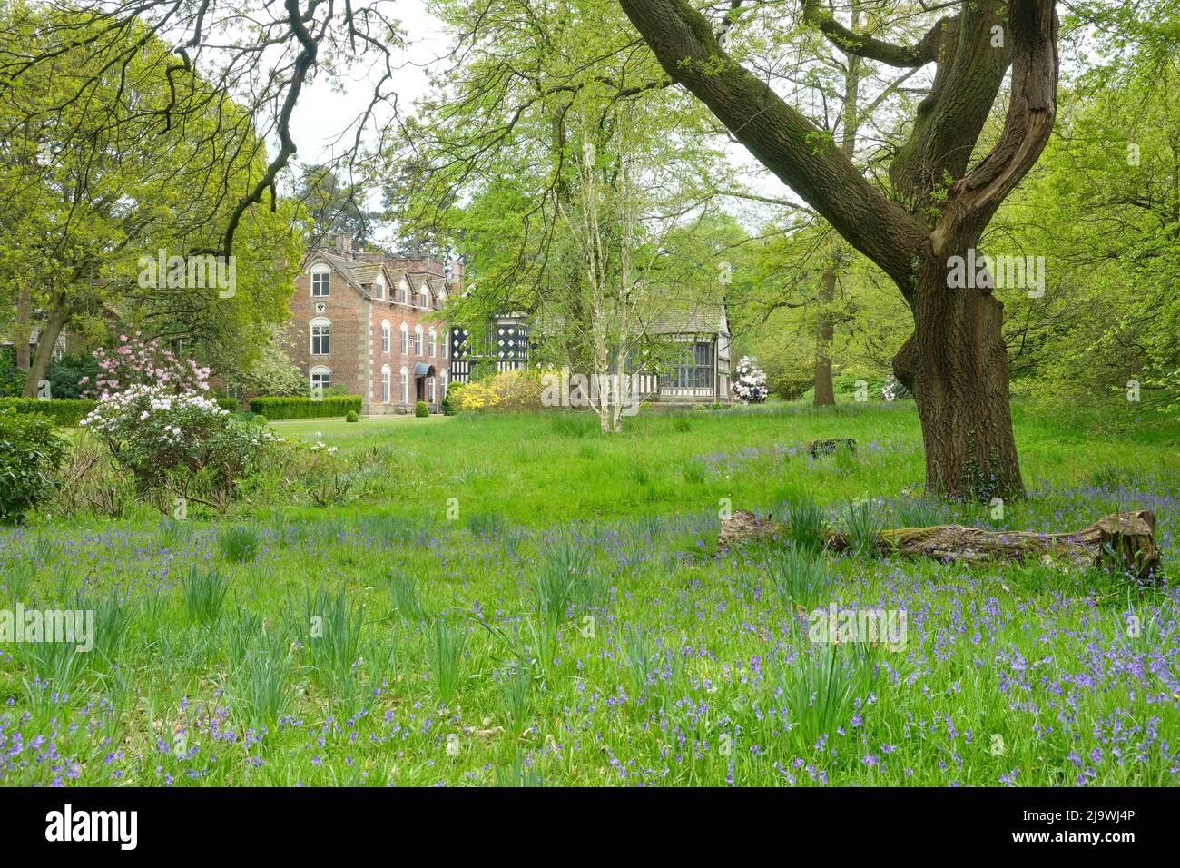 Rufford Hall au milieu de la croissance printanière Banque D'Images