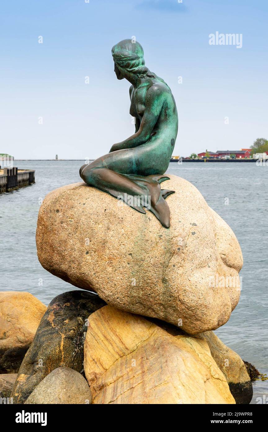 Den lille Havfrue, la statue de la petite Sirène, Copenhague, Danemark Banque D'Images