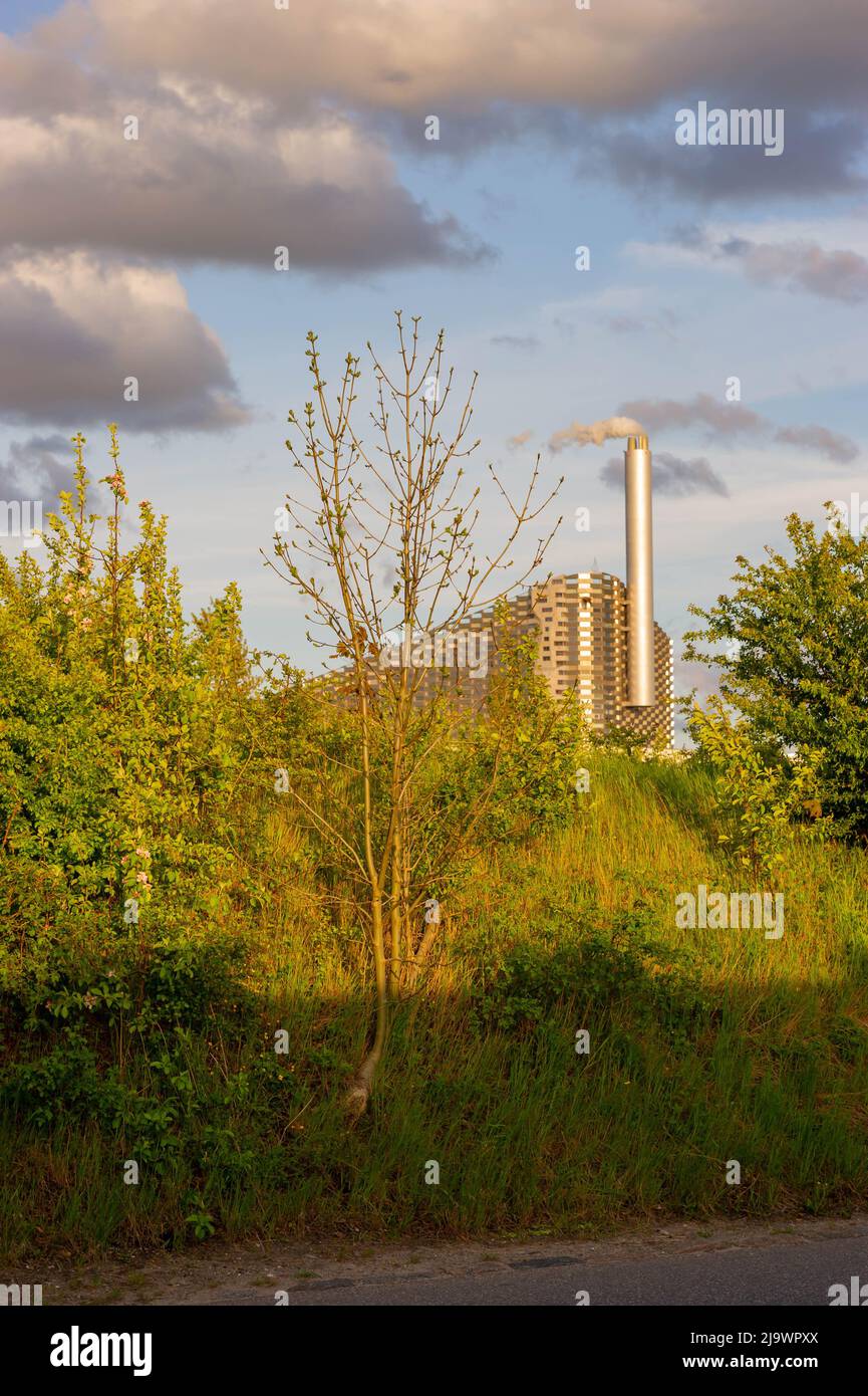 Incinérateur Amager Bakke au coucher du soleil, Copenhague, Danemark Banque D'Images
