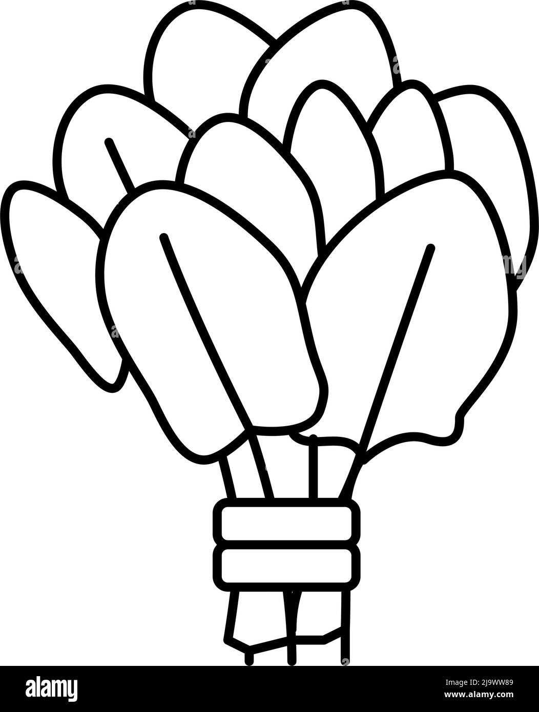 illustration vectorielle de l'icône représentant une bande d'épinards Illustration de Vecteur