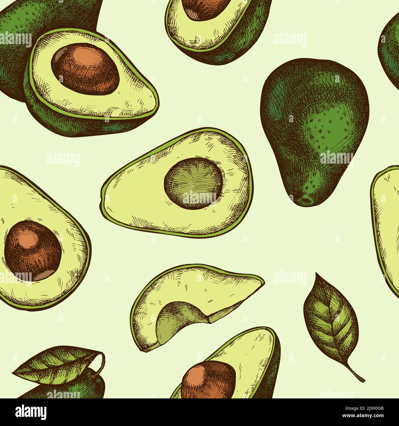 Motif fruits sans couture. Style gravé. Avocat dessiné à la main. Illustration de Vecteur