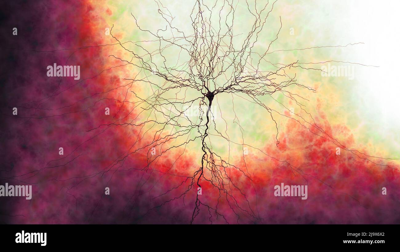 Connexions Synapse. Structure qui permet à un neurone (ou une cellule nerveuse) de transmettre un signal électrique ou chimique à un autre neurone. Système nerveux. Cerveau Banque D'Images
