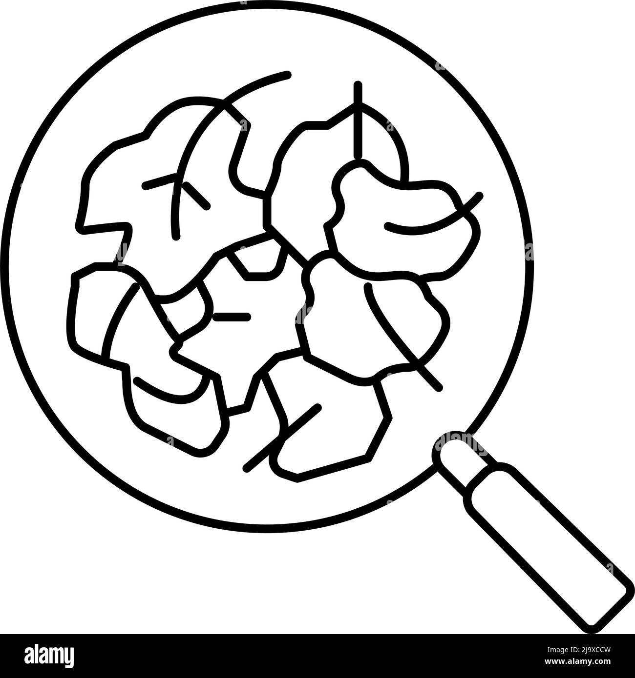 illustration vectorielle de l'icône de la ligne d'épinards crus Illustration de Vecteur