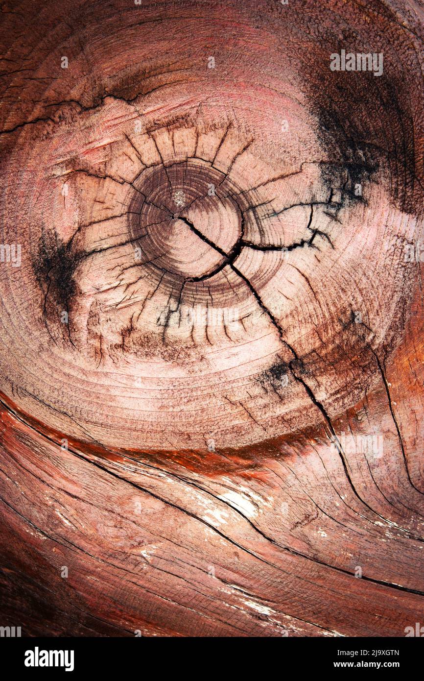 Une fissure dans la forme d'une figure stylisée sur le vieux bois Banque D'Images