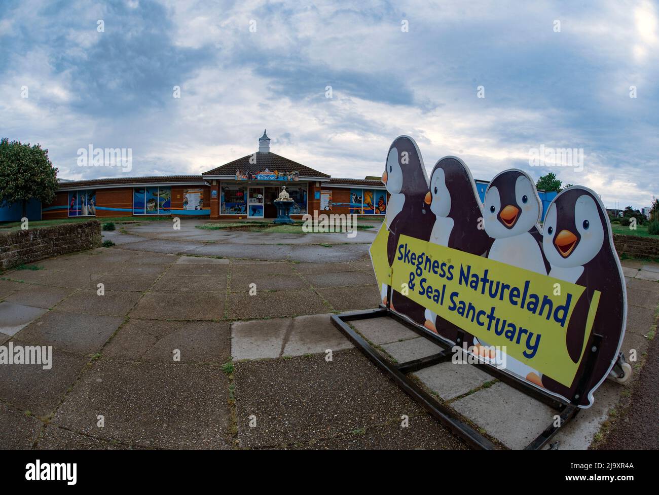 Sanctuaire de phoques de Natueland à Skegness, Lincolnshire. Natureland secoue et réhabilite les pupes de phoque orphelines et blessées qui sont bloquées sur Lincolnshi Banque D'Images