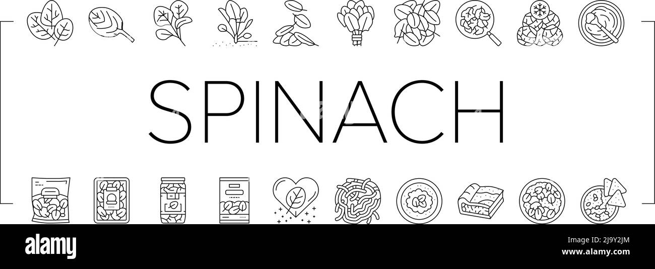 Ensemble d'icônes d'ingrédients de la saine alimentation aux épinards Vector Illustration de Vecteur
