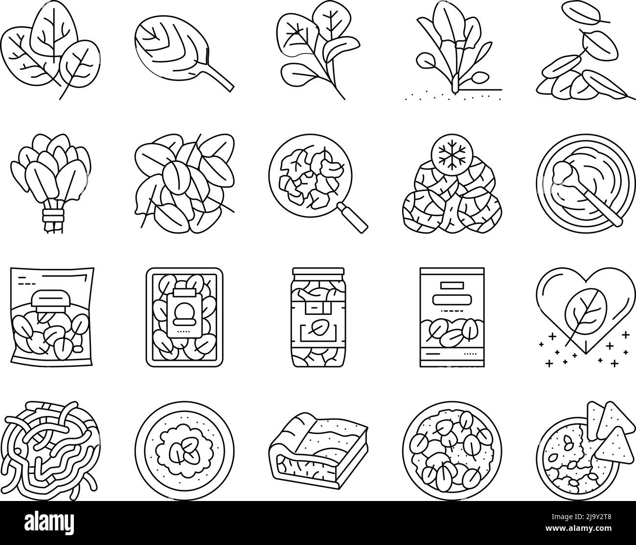 Ensemble d'icônes d'ingrédients de la saine alimentation aux épinards Vector Illustration de Vecteur