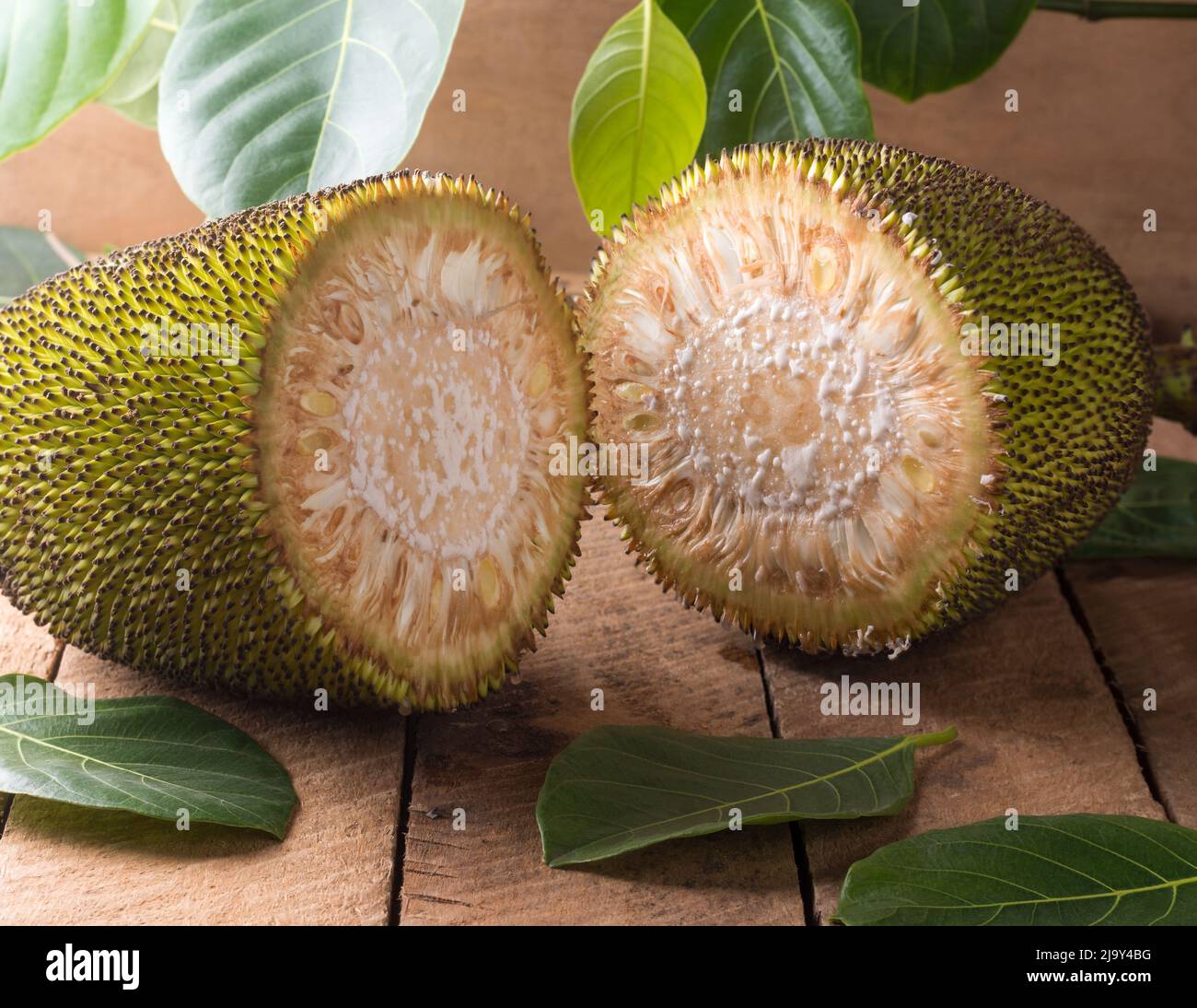 jackfruit coupé en deux sur une table en bois avec des feuilles de jack en arrière-plan, fruits tropicaux santé bénéfique originaire de l'asie du sud-est Banque D'Images