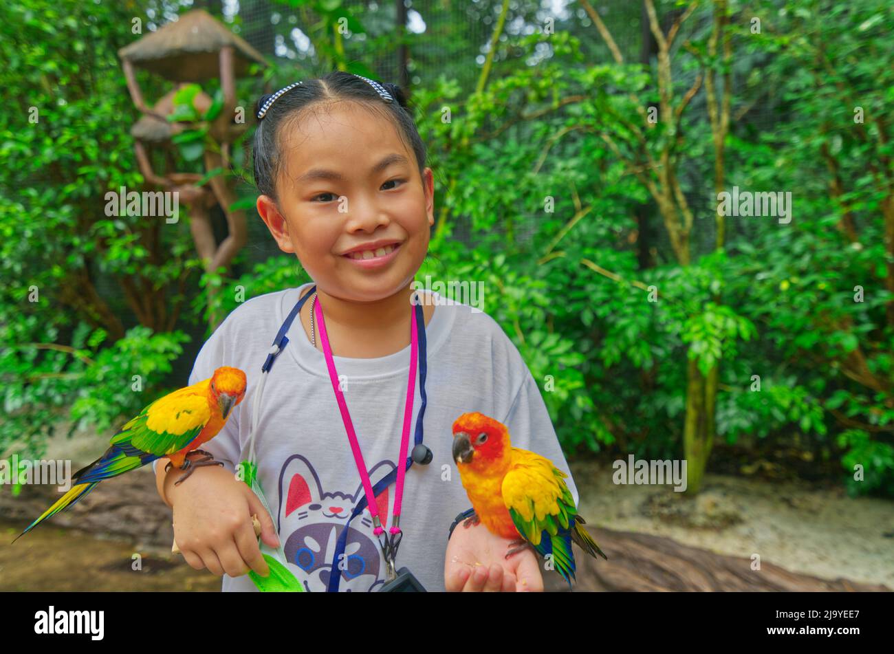 Enfant asiatique mignon fille avec soleil conure perroquet oiseaux sur la main, sourire sur son visage, porte des lunettes, le fond de l'arbre dans un zoo. Enfant asiatique fille à Banque D'Images