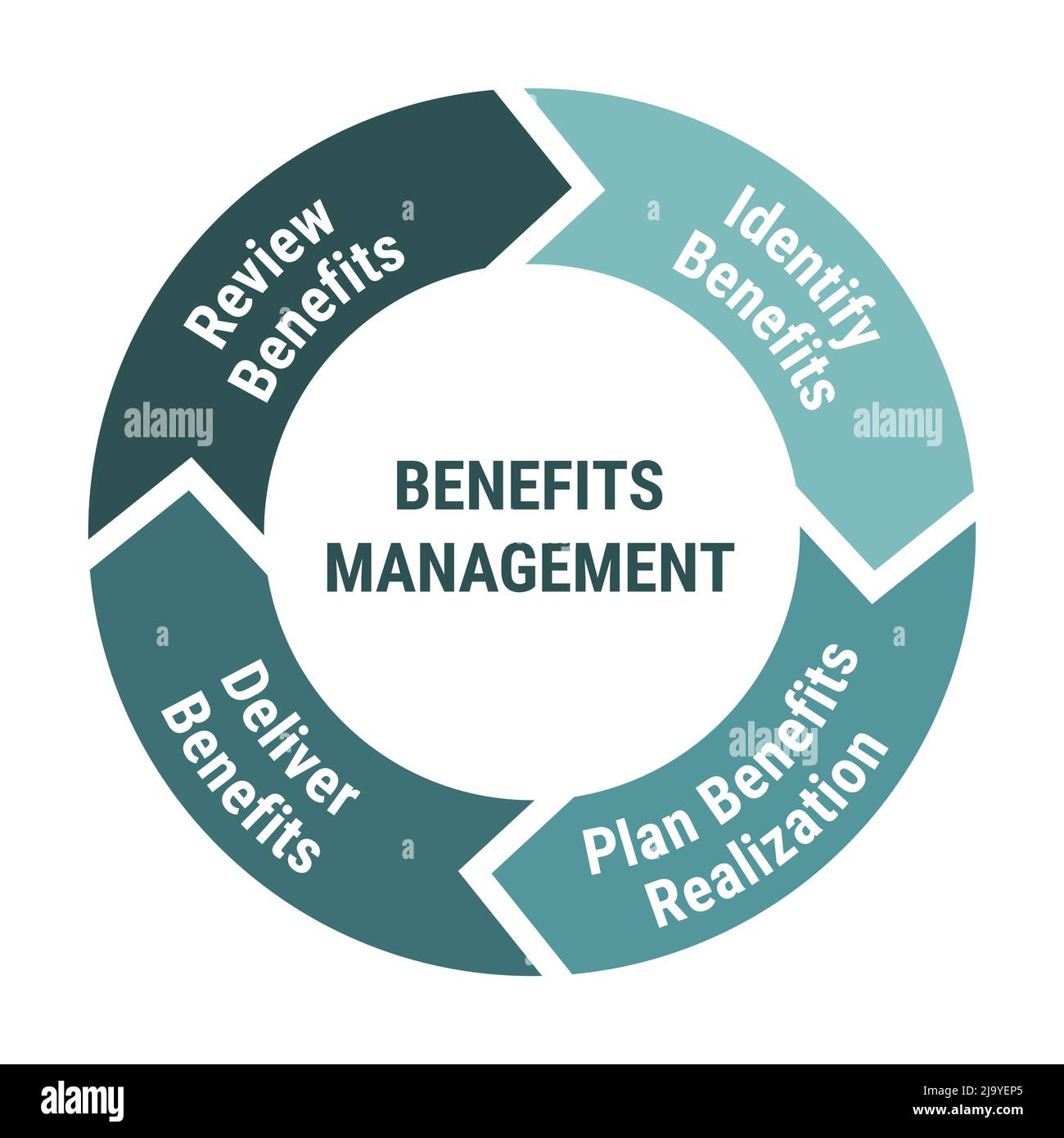 Schéma de cycle de vie de la gestion des avantages sociaux Méthodologie entourez le diagramme avec la revue et identifiez, planifiez la réalisation et la livraison. Menthe verte sur fond blanc Illustration de Vecteur