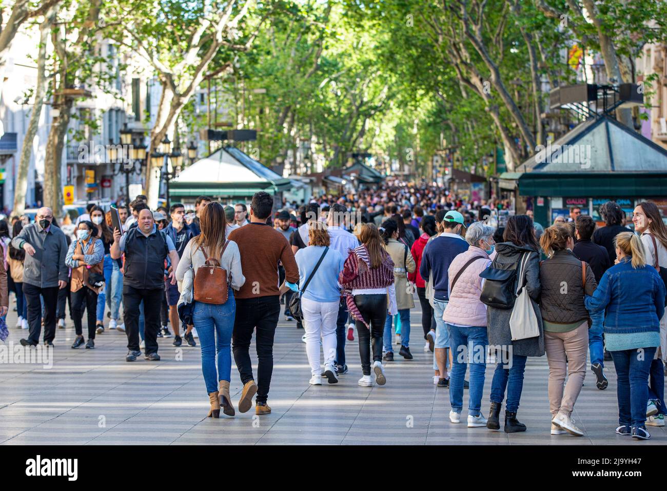 La Rambla de Barcelone, Espagne Banque D'Images