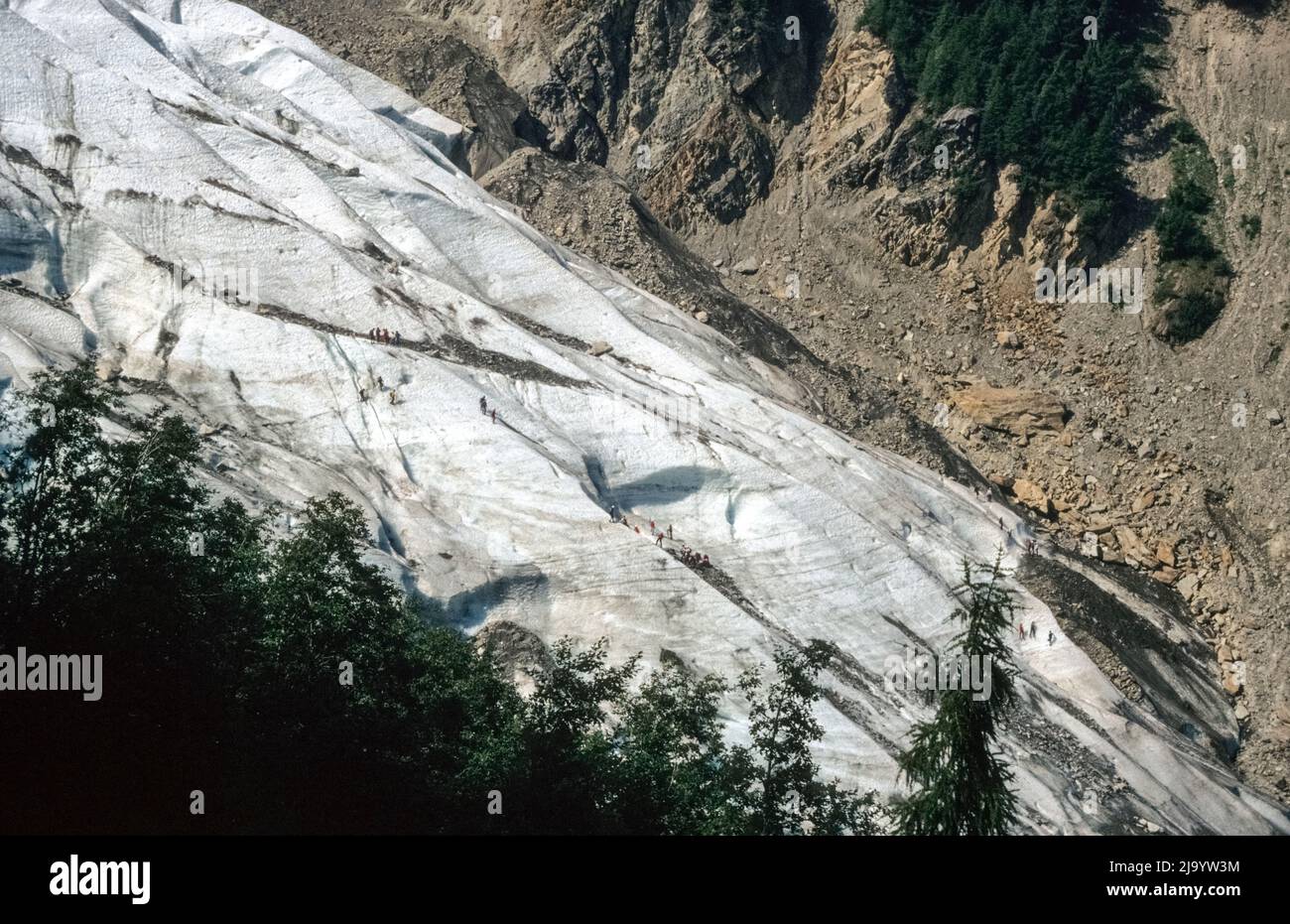 Le glacier des Bossons vu de la Buvette du Cerro à 1358 M. Il y a beaucoup de gens sur la langue du glacier. Chamonix Mont blanc, France, 1990 Banque D'Images
