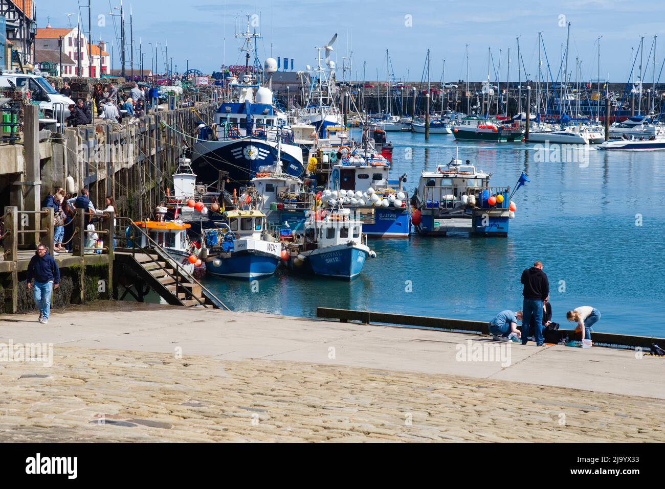 Le port de Scarborough est un port de pêche animé avec de nombreux bateaux amarrés Banque D'Images