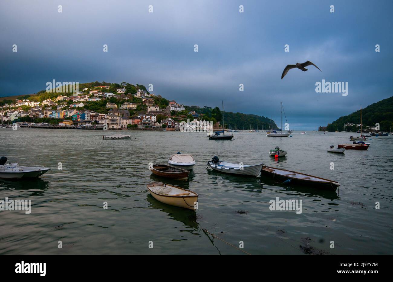 Kingjure et l'estuaire de Dart vus de Dartmouth, Devon, Angleterre, Royaume-Uni Banque D'Images