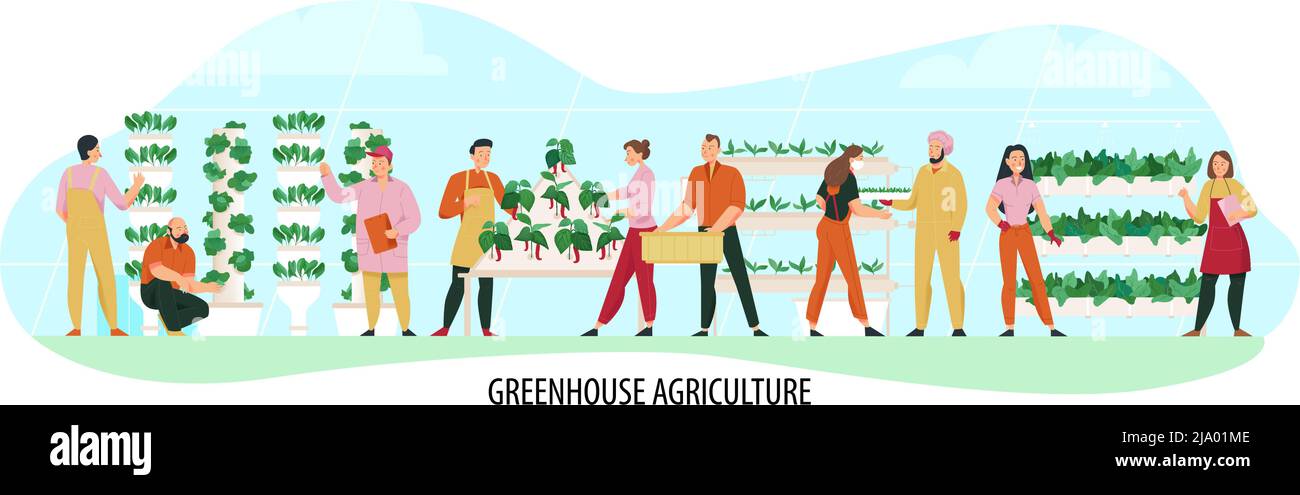 Composition de l'agriculture avec les gens cultivant des plantes de serre illustration vectorielle plate Illustration de Vecteur