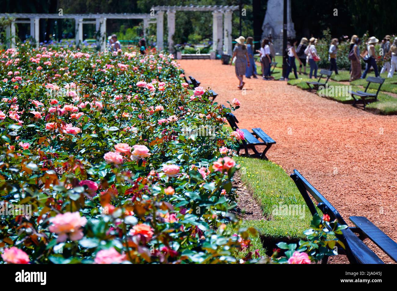 Touristes visitant les Jardins Rosedal, un parc de roses a déclaré un patrimoine culturel de la ville de Buenos Aires, Argentine. Banque D'Images