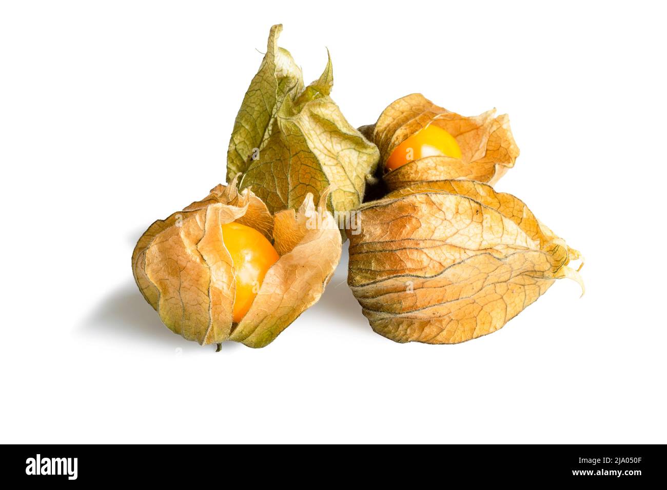 Groupe de fruits physalis isolés sur fond blanc Banque D'Images