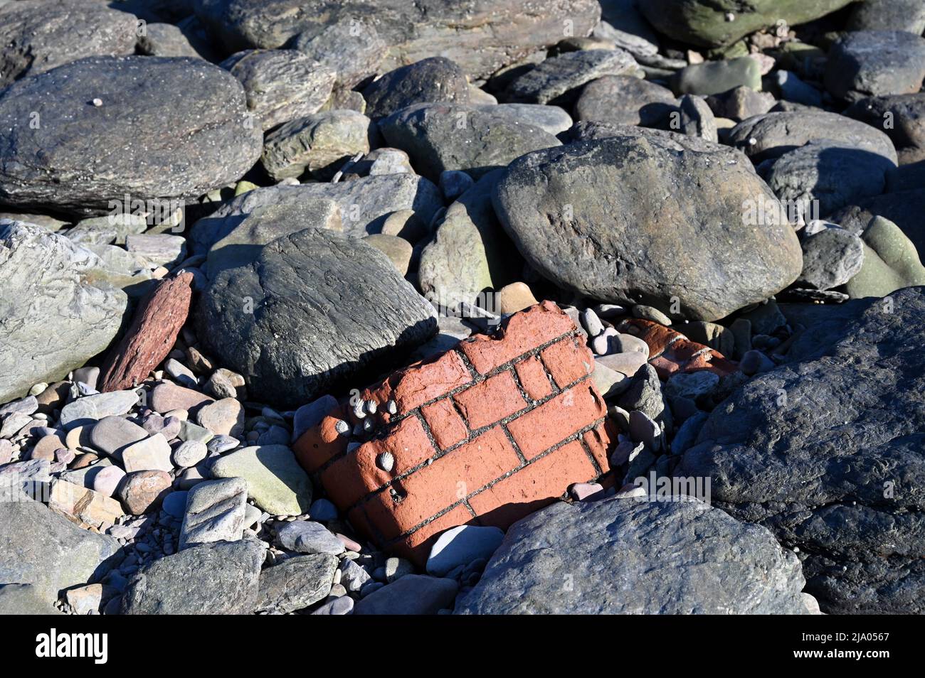 Rochers, pierres sur la plage de Devon pendant une journée ensoleillée Banque D'Images
