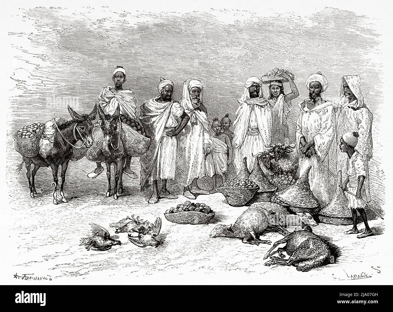 Fourniture de nourriture que les tribus de la campagne sont obligées de donner aux envoyés du sultan, au Maroc. Nord de l'Afrique. Maroc par Edmondo de Amicis 1875. Le Tour du monde 1879 Banque D'Images