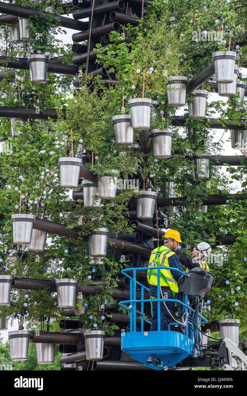 Londres, Royaume-Uni, 26 mai 2022. Les travailleurs inspectent la sculpture d'arbres Thomas Heatherwick de 21 mètres de haut à l'extérieur de Buckingham Palace pour le Jubilé de platine de la Reine, qui comprend 350 arbres indigènes britanniques, et elle formera une pièce maîtresse des célébrations du week-end du Jubilé de platine de la Reine. Conçus par Heatherwick Studio, les 350 arbres sont dans des pots en aluminium estampés du cypher de sa Majesté. Credit. amer ghazzal/Alamy Live News Banque D'Images